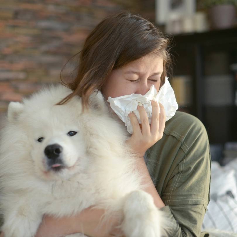 Can Salt Therapy Help If You’re Allergic To Your Dog? Salt Room South